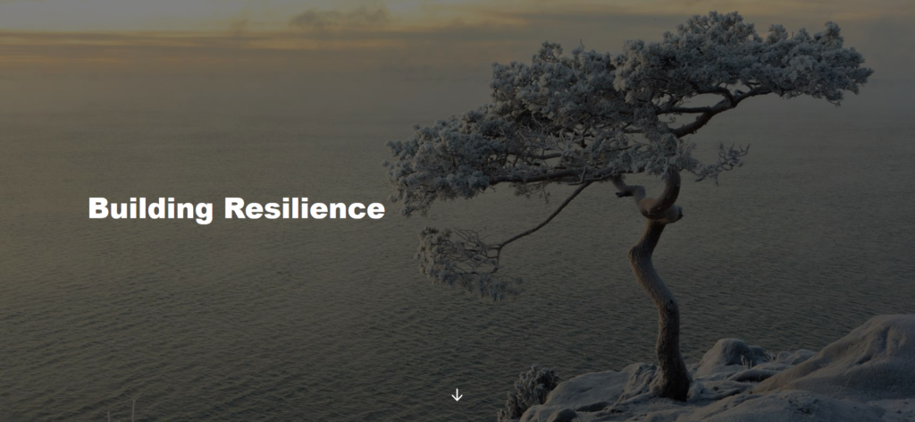 building_resilience module