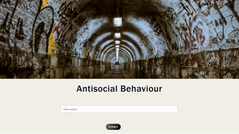 antisocial behaviour